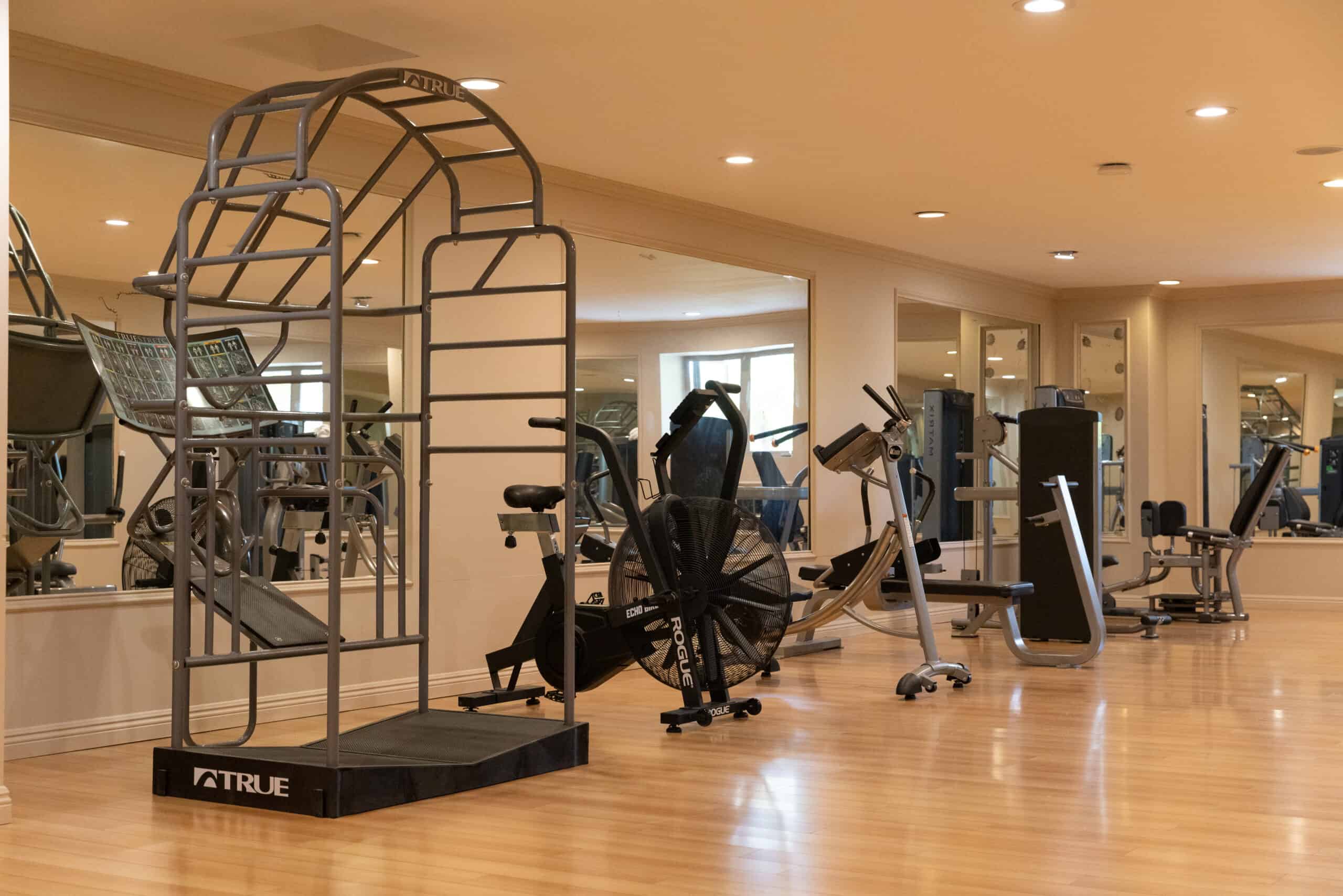 Women's Only Gym — stretch and cardio area with professional equipment
