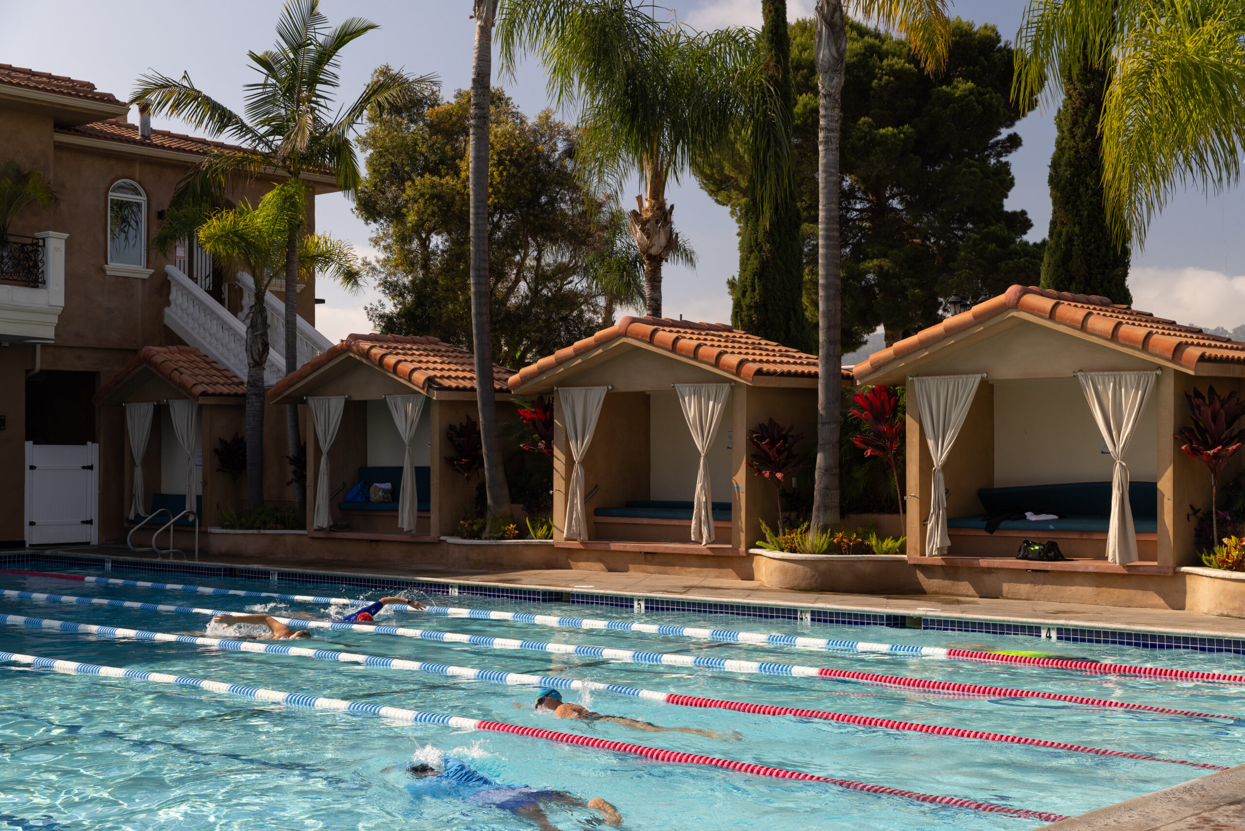 Swimmers in lap lanes with resort cabanas and palm trees