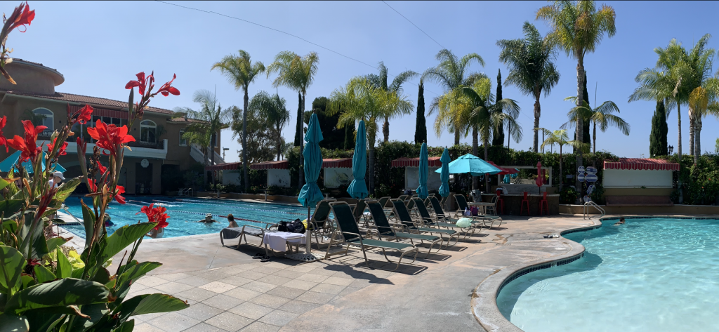 Club pool campus with lap pool, shallow kids pool, and landscaped decks