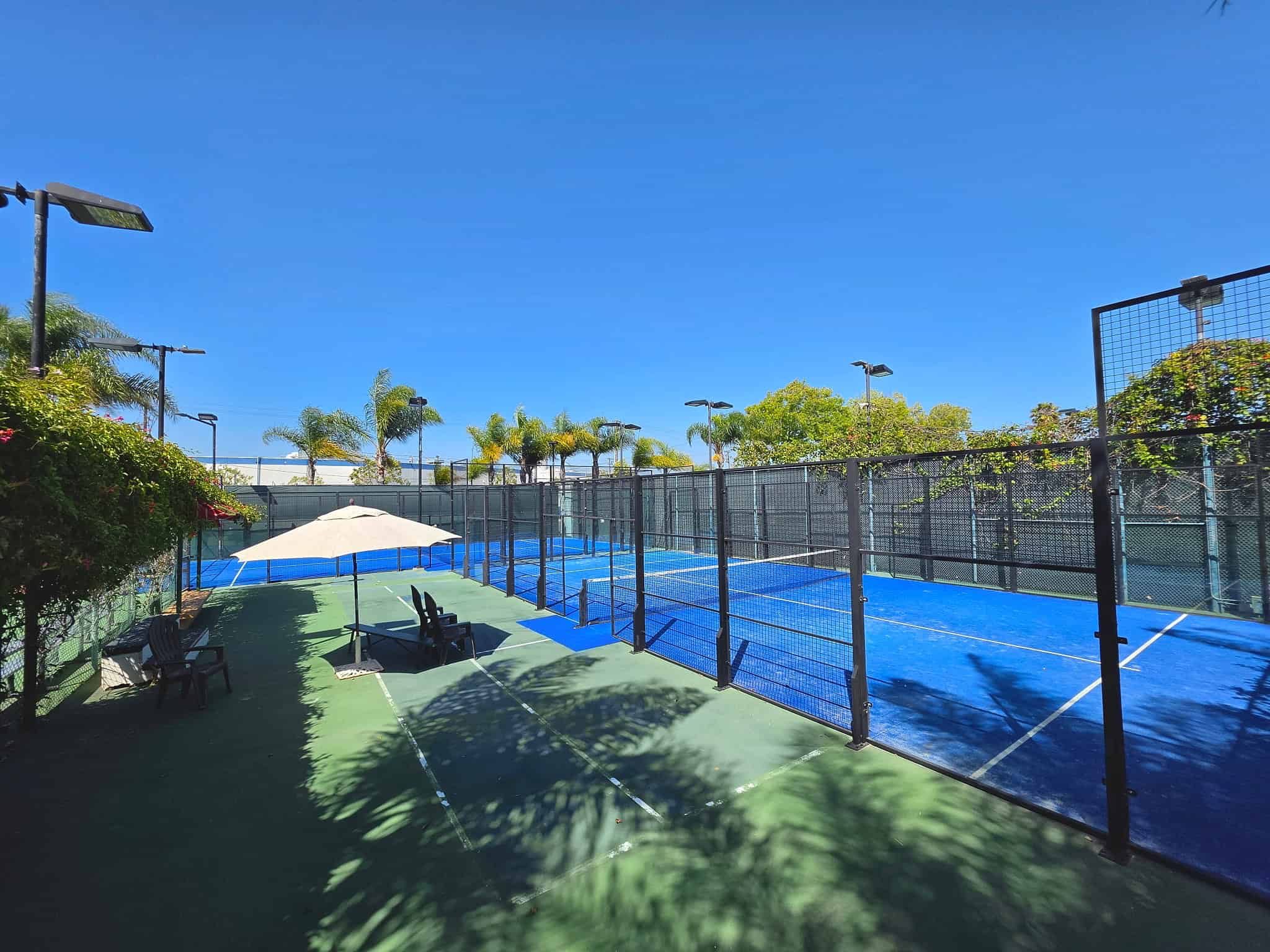 South End's enclosed padel courts with blue turf under palm trees and light poles, with umbrella-shaded seating beside them