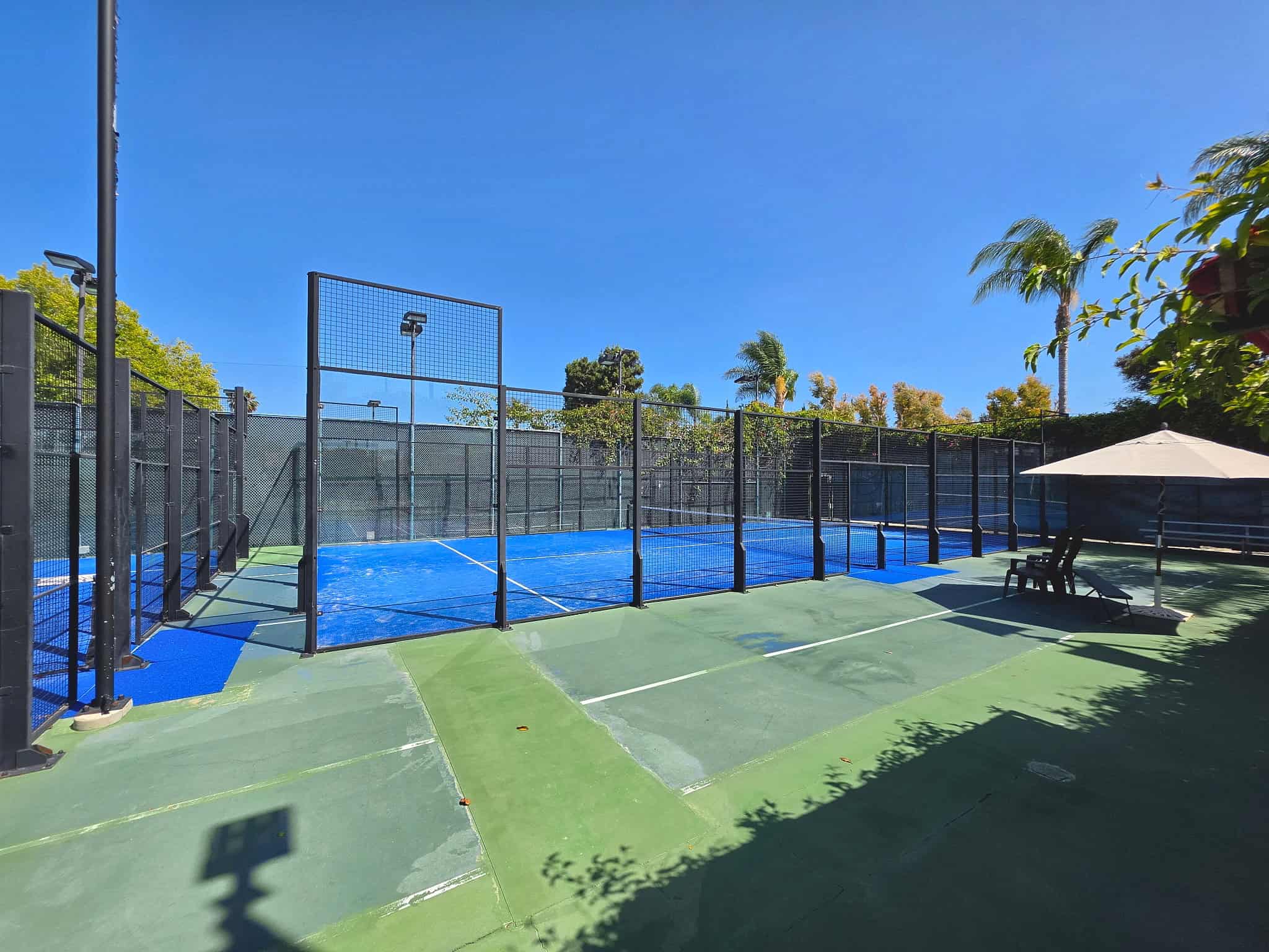 A South End padel court framed by its tall mesh walls and light poles, with palm trees and a blue sky behind